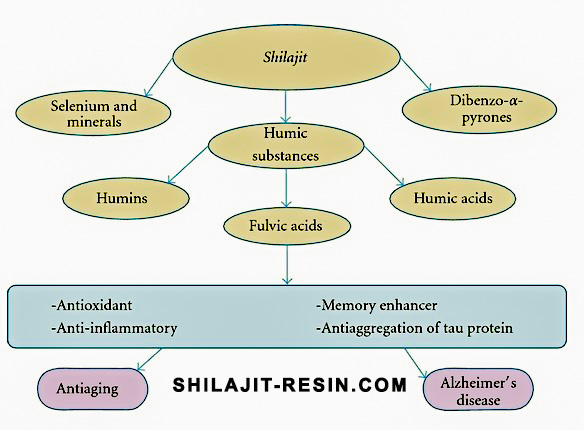 Fordeler med shilajit