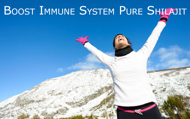 Boost-Immune-System-Pure-Shilajit