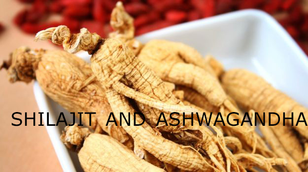 Shilajit and ashwagandha