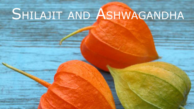 Shilajit und Ashwagandha