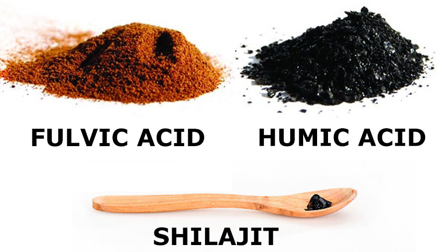 humicacidvsfulvicacid Pure Shilajit Resin What is Shilajit Resin